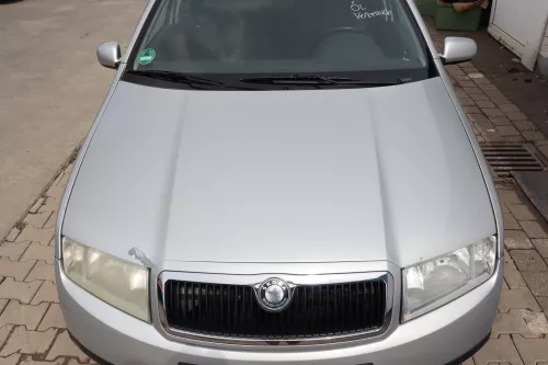 Skoda Fabia 6Y Motorhaube KLappe vorne silber grau LF7T OHNE Grill KEIN-GRILL