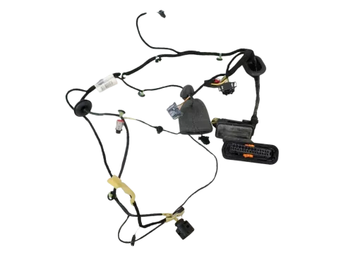 Passat 3C B7 Kabelbaum Tür Türkabelbaum ZV hinten links Leitungssatz 3AA971693BT