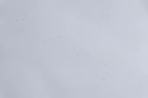 VW Passat 3BG Motorhaube Klappe vorne vorn Haube grau LD7W urbangrey grey cv (159313)