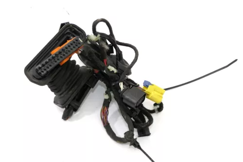 VW Passat 3C Kabelbaum Tür Türkabelbaum ZV vorne rechts Leitungssatz 3C1971121BN