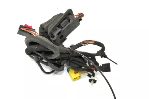 VW Passat 3C Kabelbaum Tür Türkabelbaum ZV vorne rechts Leitungssatz 3C1971121BN (160357)