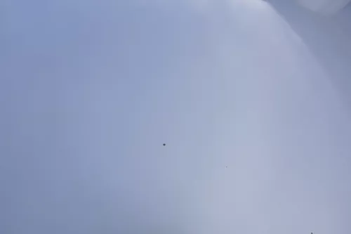 VW Lupo Motorhaube KLappe vorne silber LA7W reflexsilber grau (161128)