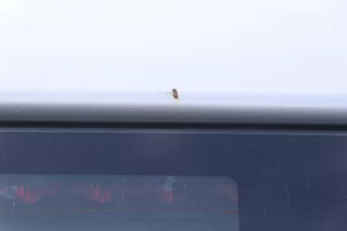 Audi A4 B5 Avant Facelift Heckklappe Klappe hinten silber LY7W Facelfit Scheibe (162130)