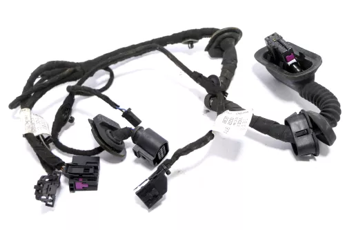 Audi A2 8Z Kabelbaum Tür Türkabelbaum ZV vorne links 8Z0971029J /B (162196)