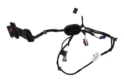 VW Caddy 2K Kabelbaum Tür Türkabelbaum ZV vorne links 2K5971120AL 2K5971120AK