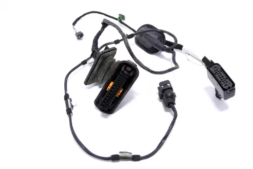 VW Golf Plus Kabelbaum Tür Türkabelbaum ZV hinten links 5M0971693AJ /AH (164376)