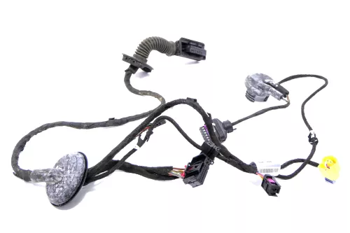 Audi 8K A4 Kabelbaum Tür Türkabelbaum ZV vorne rechts 8K0971030AG (164611)