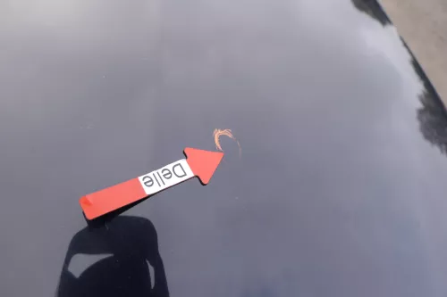 Audi A4 B6 8E Motorhaube Haube Klappe LY5K blau lila (164724)