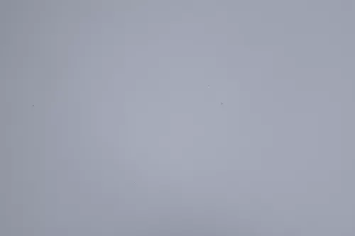 VW Golf 4 Motorhaube Haube Klappe vorne silber grau LA7W grau reflexsilber (164845)