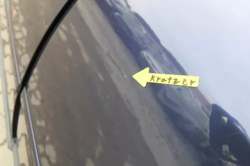 Audi A6 4B C5 Tür Türblatt hinten links blau LZ5T nur Türblatt (165071)