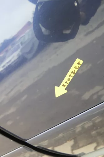 Audi A6 4B C5 Tür Türblatt hinten links blau LZ5T nur Türblatt (165071)