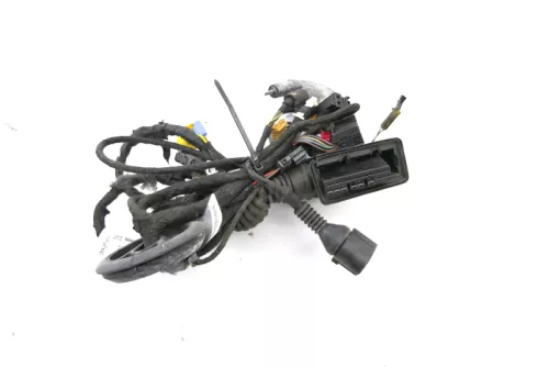 Audi 8K A4 Kabelbaum Tür Türkabelbaum ZV vorne links 8K0971029AB (166077)