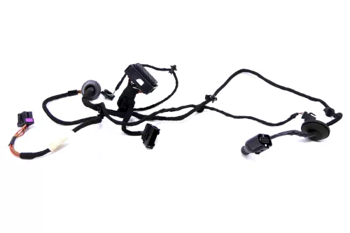 VW Passat 3B Kabelbaum Tür Türkabelbaum ZV vorne rechts 3B0971121F 3B0971121R