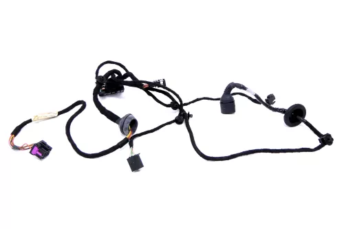 VW Passat 3B Kabelbaum Tür Türkabelbaum ZV vorne rechts 3B0971121F 3B0971121R (166464)