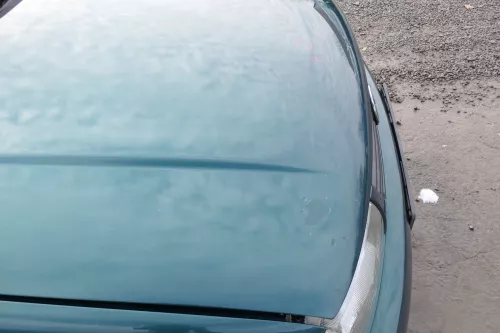 VW Polo 6N Motorhaube Klappe vorn vorne grün LC6P (166607)