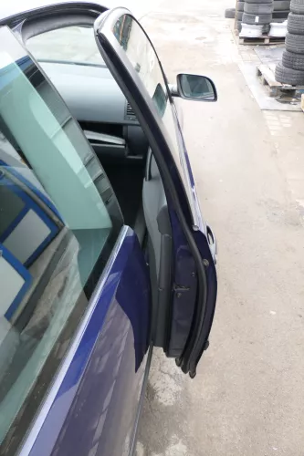 VW Polo 9N 9N3 Tür vorne rechts Beifahrertür 2/3-Türer blau LB5N ohneAnbauteile (167548)