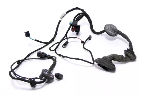 Audi Q7 4L Kabelbaum Tür Türkabelbaum ZV vorne links 4L0971029Q