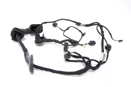 Audi Q7 4L Kabelbaum Tür Türkabelbaum ZV vorne rechts 4L0971030Q (167982)