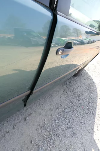 Polo 9N 9N3 Tür vorne rechts Beifahrertür 2/3-Türer grün LA6L ohneAnbauteile (168499)