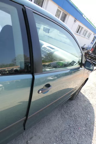 Polo 9N 9N3 Tür vorne rechts Beifahrertür 2/3-Türer grün LA6L ohneAnbauteile (168499)