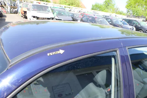 VW Polo 6N 6N2 Tür vorne links Fahrertür 4/5-Türer blau LB5N ohneAnbauteile (168855)