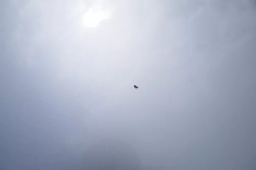 VW Fox 5Z Motorhaube Klappe vorn vorne silber LA7W Haube (168977)