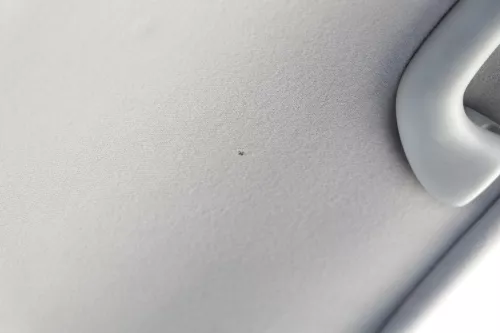 VW Golf 4 1J 2/3-Türer Himmel Innenraum Decke Dachhimmel Dach oben grau Lo (170148)