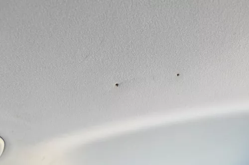 VW Golf 4 1J Kombi Variant Himmel Decke Dachhimmel Dach oben grau Schiebdach (170376)