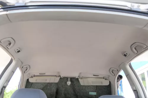 Seat Leon 1M Himmel Innenraum Decke Dachhimmel Dach oben grau-ohne Anbauteil (170434)