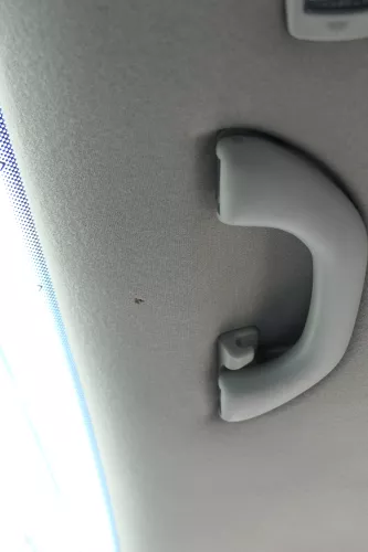 VW Golf 4 1J 2/3-Türer Himmel Innenraum Decke Dachhimmel Dach oben grau f (170514)