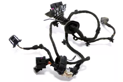 Audi A3 8P 2/3-Türer Kabelbaum Tür Türkabelbaum ZV vorne links 8P3971029AA (170799)