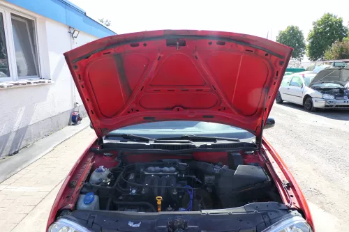 VW Golf 4 Motorhaube Haube Klappe vorne rot LP3G (171074)