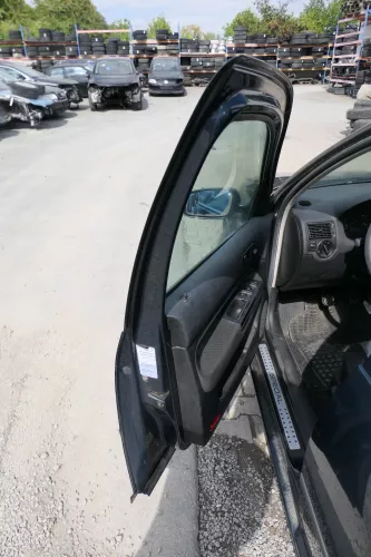 VW Golf 4 Bora Tür vorne links Fahrertür 4/5-Türer Kombi Variant grün LC6X (171221)