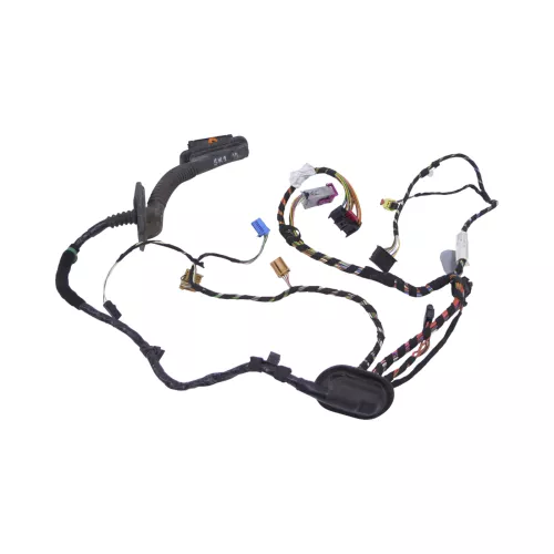 VW Golf 6 4/5-Türer Kabelbaum Tür Türkabelbaum ZV vorne links 5K4971120DF (171901)