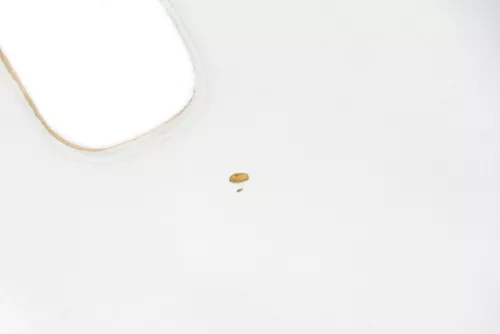 VW Touran Himmel Innenraum Decke Dachhimmel Dach oben 1T0867501Q /P grau (173686)