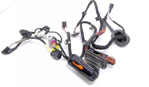 Passat 3C Kabelbaum Tür Türkabelbaum ZV vorne recht Leitungssatz 3C1971121EM/EK (174354)