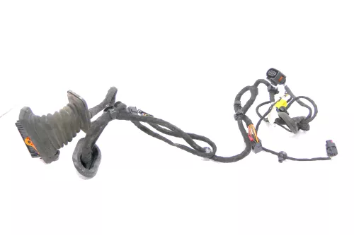 Passat 3C Kabelbaum Tür Türkabelbaum ZV vorne recht Leitungssatz 3C1971121AQ /BJ (174355)