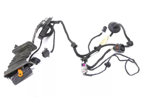 VW Passat 3C Kabelbaum Tür Türkabelbaum ZV hinten links 3C4971693GG /FS