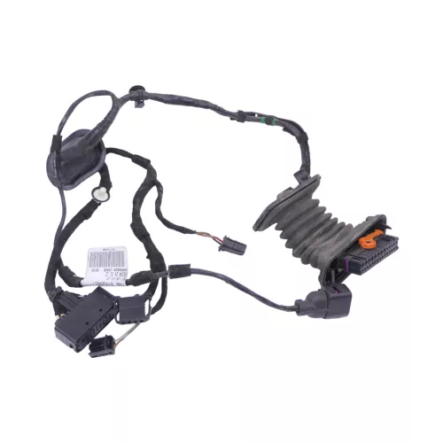 VW Golf 6 Kombi Variant Kabelbaum Tür Türkabelbaum ZV hinten links 1K9971693AH