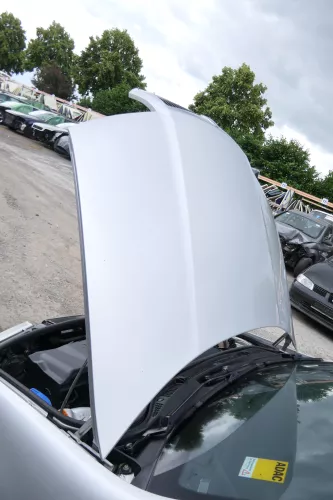 Skoda Fabia 6Y Motorhaube Klappe vorne silber LF7T vorn     (OHNEgrill!) (176021)