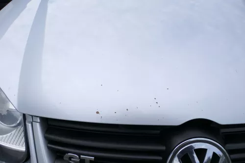 VW Golf 5 V 1K5 Jetta 1K2 Motorhaube Haube Klappe vorne grau silber LA7W (176918)