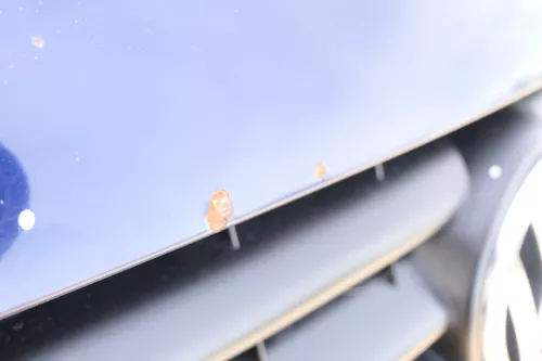 VW Touran 1T Caddy 2K Motorhaube Klappe Frontklappe blau LB5N indigoblau (177779)