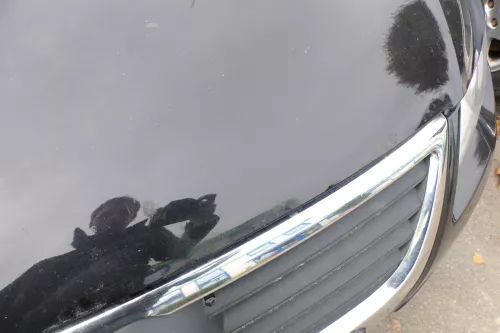 VW Passat 3C Motorhaube Klappe vorne vorn Haube schwarz LC9X deepblack öö (177820)