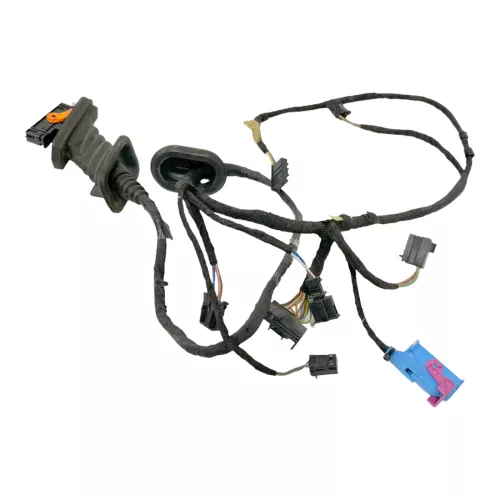 VW Sharan 7N Kabelbaum Tür Türkabelbaum ZV vorne rechts 7N0971120AF Beifahrertür