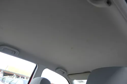 VW Polo 6N Himmel Innenraum Decke Dachhimmel Dach 4/5-Türer (180291)
