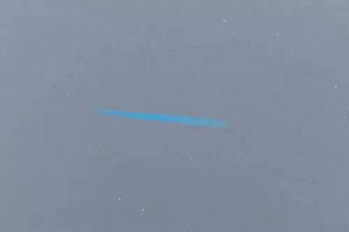 Audi A3 8L Tür Türblatt hinten links 4/5-Türer blau LY7R (180334)