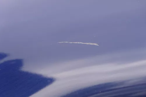 Audi A3 8L Kotflügel vorne links - blau LZ5K (180817)