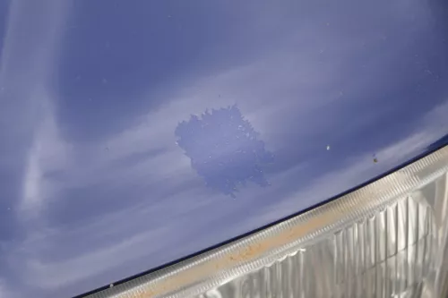 Audi A3 8L Motorhaube Frontklappe Haube blau LZ5K auch für Facelift (180831)