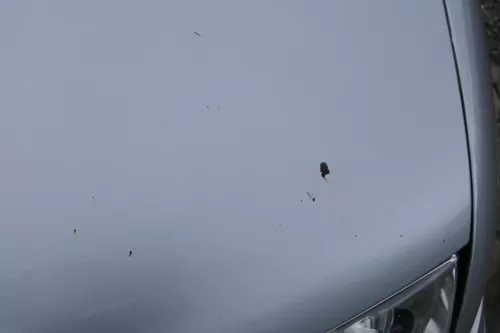 VW Bora Motorhaube Haube Klappe vorne silber LA7W grau (180988)