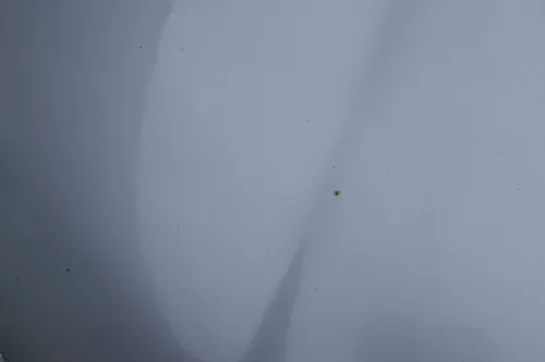 VW Bora Motorhaube Haube Klappe vorne silber LA7W grau (180988)